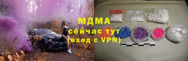 гидра Богородск