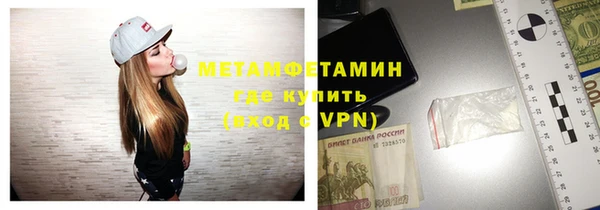 гидра Богородск
