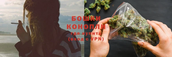 дживик Богданович