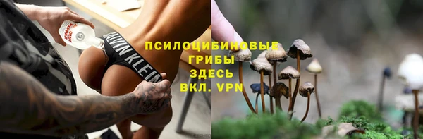 дживик Богданович