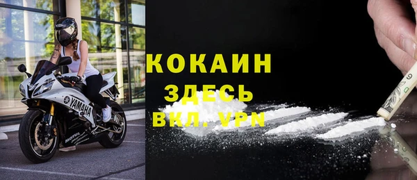 дживик Богданович