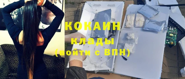 гидра Богородск