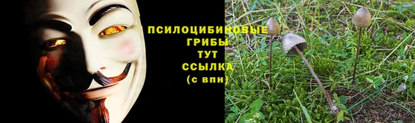 гидра Богородск